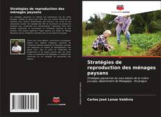 Stratégies de reproduction des ménages paysans kitap kapağı