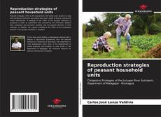 Couverture de Reproduction strategies of peasant household units