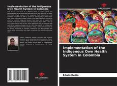Copertina di Implementation of the Indigenous Own Health System in Colombia