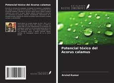 Buchcover von Potencial tóxico del Acorus calamus