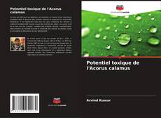 Bookcover of Potentiel toxique de l'Acorus calamus
