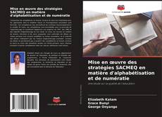 Capa do livro de Mise en œuvre des stratégies SACMEQ en matière d'alphabétisation et de numératie 