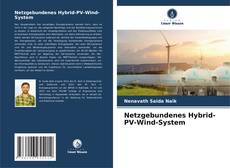 Bookcover of Netzgebundenes Hybrid-PV-Wind-System