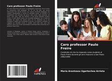 Bookcover of Caro professor Paulo Freire