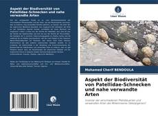 Обложка Aspekt der Biodiversität von Patellidae-Schnecken und nahe verwandte Arten