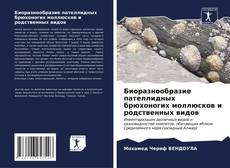 Portada del libro de Биоразнообразие пателлидных брюхоногих моллюсков и родственных видов