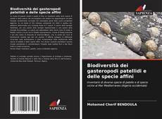 Portada del libro de Biodiversità dei gasteropodi patellidi e delle specie affini