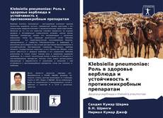 Buchcover von Klebsiella pneumoniae: Роль в здоровье верблюда и устойчивость к противомикробным препаратам