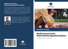 Bookcover of Multisensorische Wahrnehmungsstimulation