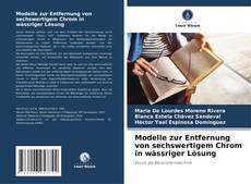 Buchcover von Modelle zur Entfernung von sechswertigem Chrom in wässriger Lösung
