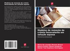 Buchcover von Modelos de remoção de crómio hexavalente em solução aquosa