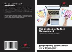 Buchcover von The process in Budget Management