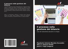 Bookcover of Il processo nella gestione del bilancio