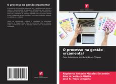 Buchcover von O processo na gestão orçamental