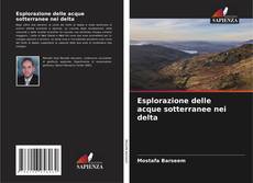 Bookcover of Esplorazione delle acque sotterranee nei delta