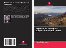 Buchcover von Exploração de águas subterrâneas nos deltas