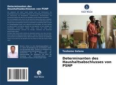 Copertina di Determinanten des Haushaltsabschlusses von PSNP