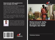 Couverture de Determinanti della graduazione delle famiglie dal PSNP