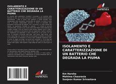 Bookcover of ISOLAMENTO E CARATTERIZZAZIONE DI UN BATTERIO CHE DEGRADA LA PIUMA