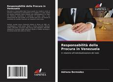 Couverture de Responsabilità della Procura in Venezuela