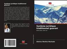 Bookcover of Système juridique traditionnel guarani