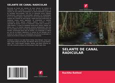 Couverture de SELANTE DE CANAL RADICULAR