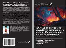 Copertina di FLAMED: un enfoque de aprendizaje profundo para la detección de incendios y humo en tiempo real