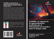 FLAMED: un approccio di apprendimento profondo per il rilevamento di incendi e fumi in tempo reale的封面