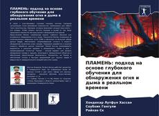 Buchcover von ПЛАМЕНЬ: подход на основе глубокого обучения для обнаружения огня и дыма в реальном времени