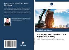 Buchcover von Prozesse und Stadien des Open Pit Mining