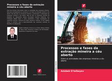 Processos e fases da extração mineira a céu aberto kitap kapağı