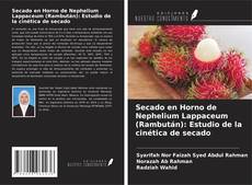Capa do livro de Secado en Horno de Nephelium Lappaceum (Rambután): Estudio de la cinética de secado 