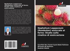 Copertina di Nephelium Lappaceum (Rambutan) essiccato al forno: Studio sulla cinetica di essiccazione
