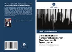 Buchcover von Die Sanktion als Heranwachsender im Strafprozess für Erwachsene
