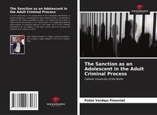 Portada del libro de The Sanction as an Adolescent in the Adult Criminal Process