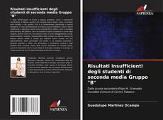 Bookcover of Risultati insufficienti degli studenti di seconda media Gruppo "B"
