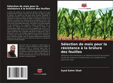 Capa do livro de Sélection de maïs pour la résistance à la brûlure des feuilles 