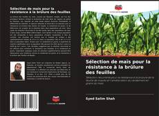 Portada del libro de Sélection de maïs pour la résistance à la brûlure des feuilles