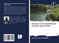 Bookcover of Осадки и сток в водосборном бассейне Куйлу-Ниари