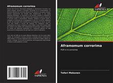 Buchcover von Aframomum corrorima