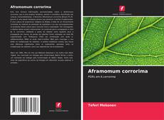 Buchcover von Aframomum corrorima