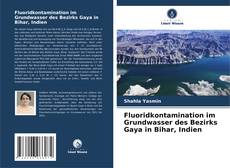 Bookcover of Fluoridkontamination im Grundwasser des Bezirks Gaya in Bihar, Indien