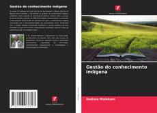 Buchcover von Gestão do conhecimento indígena