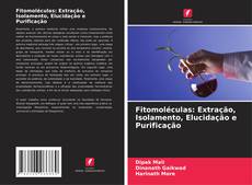 Buchcover von Fitomoléculas: Extração, Isolamento, Elucidação e Purificação