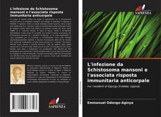 Bookcover of L'infezione da Schistosoma mansoni e l'associata risposta immunitaria anticorpale