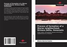 Bookcover of Process of formation of a Warao neighborhood, Orinoco Delta, Venezuela