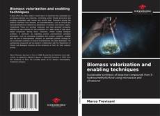 Biomass valorization and enabling techniques kitap kapağı