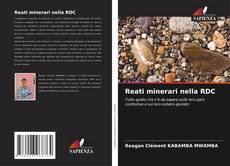 Reati minerari nella RDC kitap kapağı