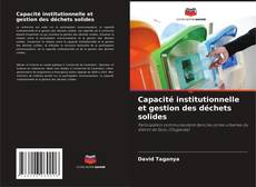 Buchcover von Capacité institutionnelle et gestion des déchets solides