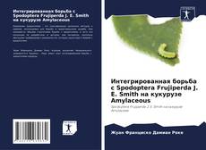 Portada del libro de Интегрированная борьба с Spodoptera Frujiperda J. E. Smith на кукурузе Amylaceous